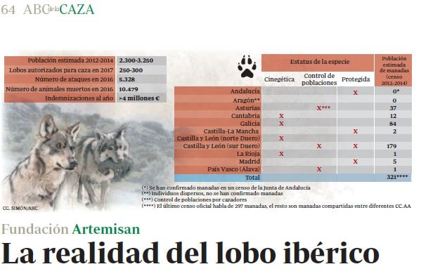 La realidad del lobo ibérico - Fundación Artemisan