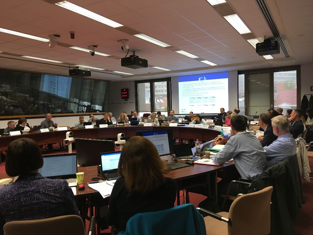 Reunión NADEG en Bruselas