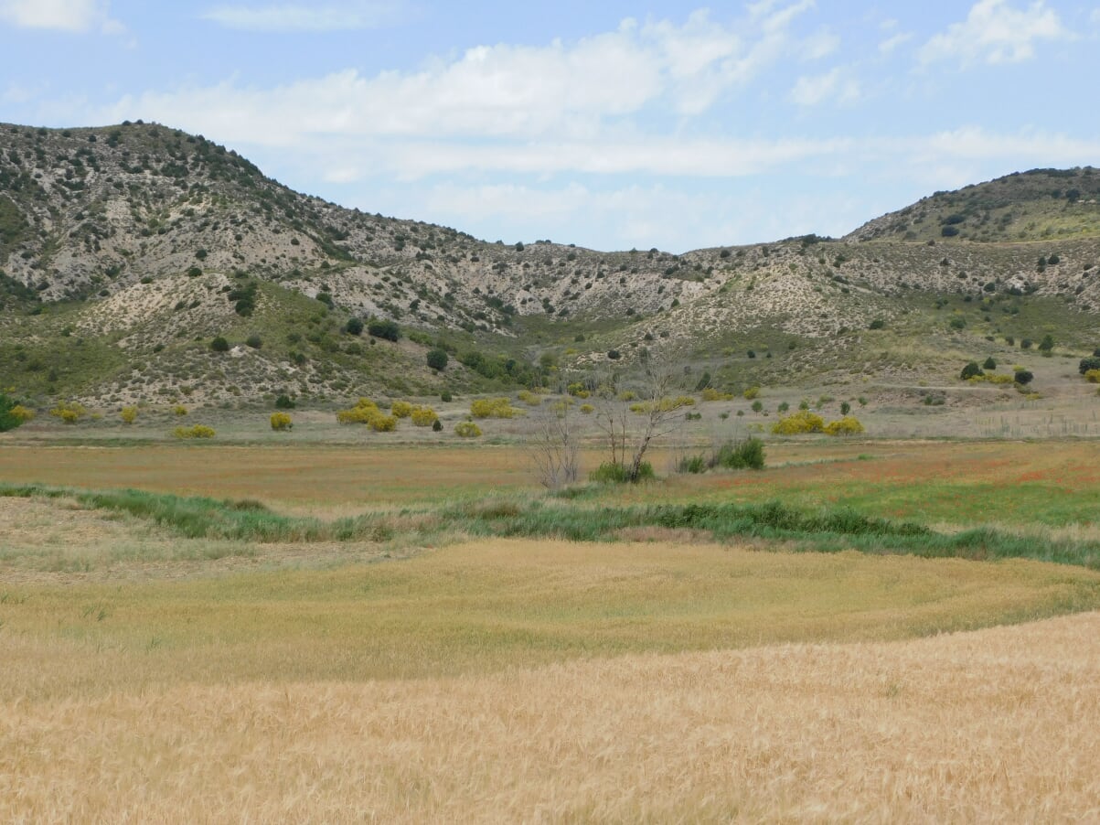 Campo, naturaleza, montaña