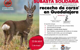 Cartel de la subasta solidaria de un rececho de corzo en Guadalajara contra el covid