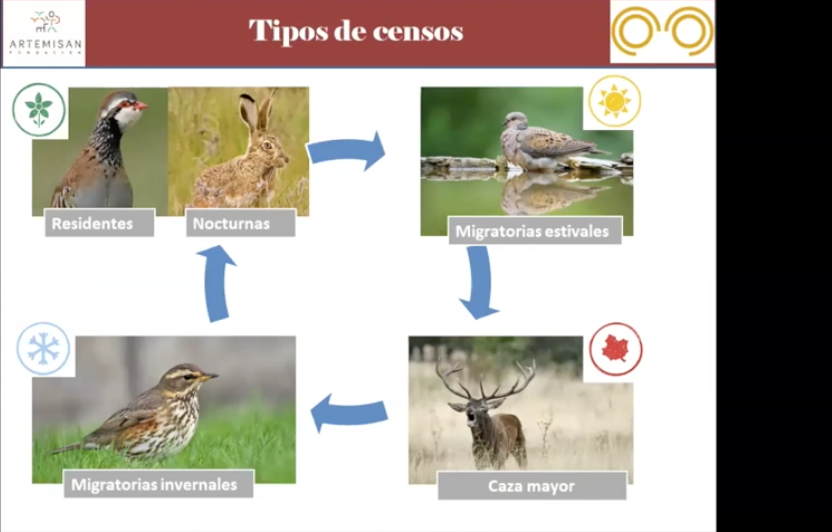 Presentación del proyecto zorzales