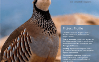 Artículo proyecto RUFA en Gamewise