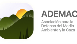 Logotipo ADEMAC