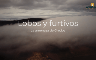 Portada documental lobos y furtivos, la amenaza de Gredos