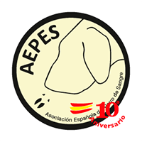 Logotipo AEPES