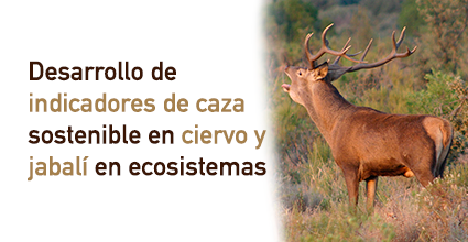Desarrollo de indicadores de caza sostenible en ciervo y jabalí