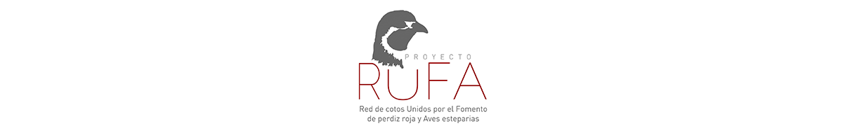 Proyecto RUFA