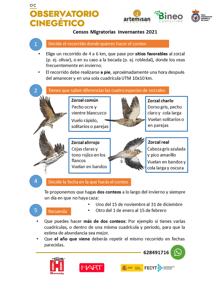 censos migratorias inverntantes observatorio cinegetico