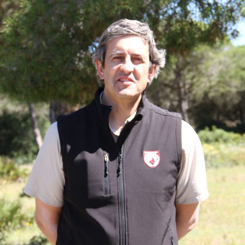 Patronato Fundación Artemisan Fundación Artemisan