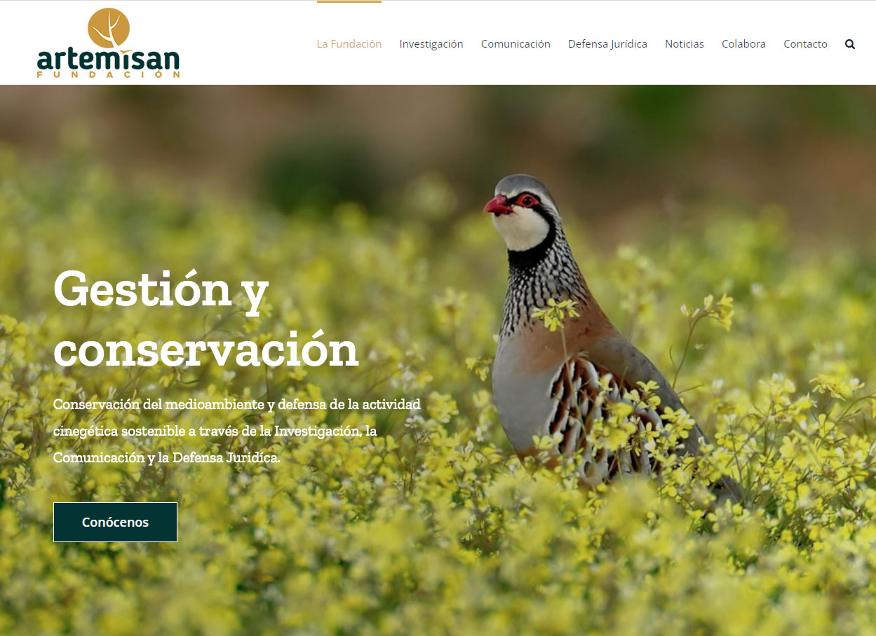 Nueva página web de Fundación Artemisan