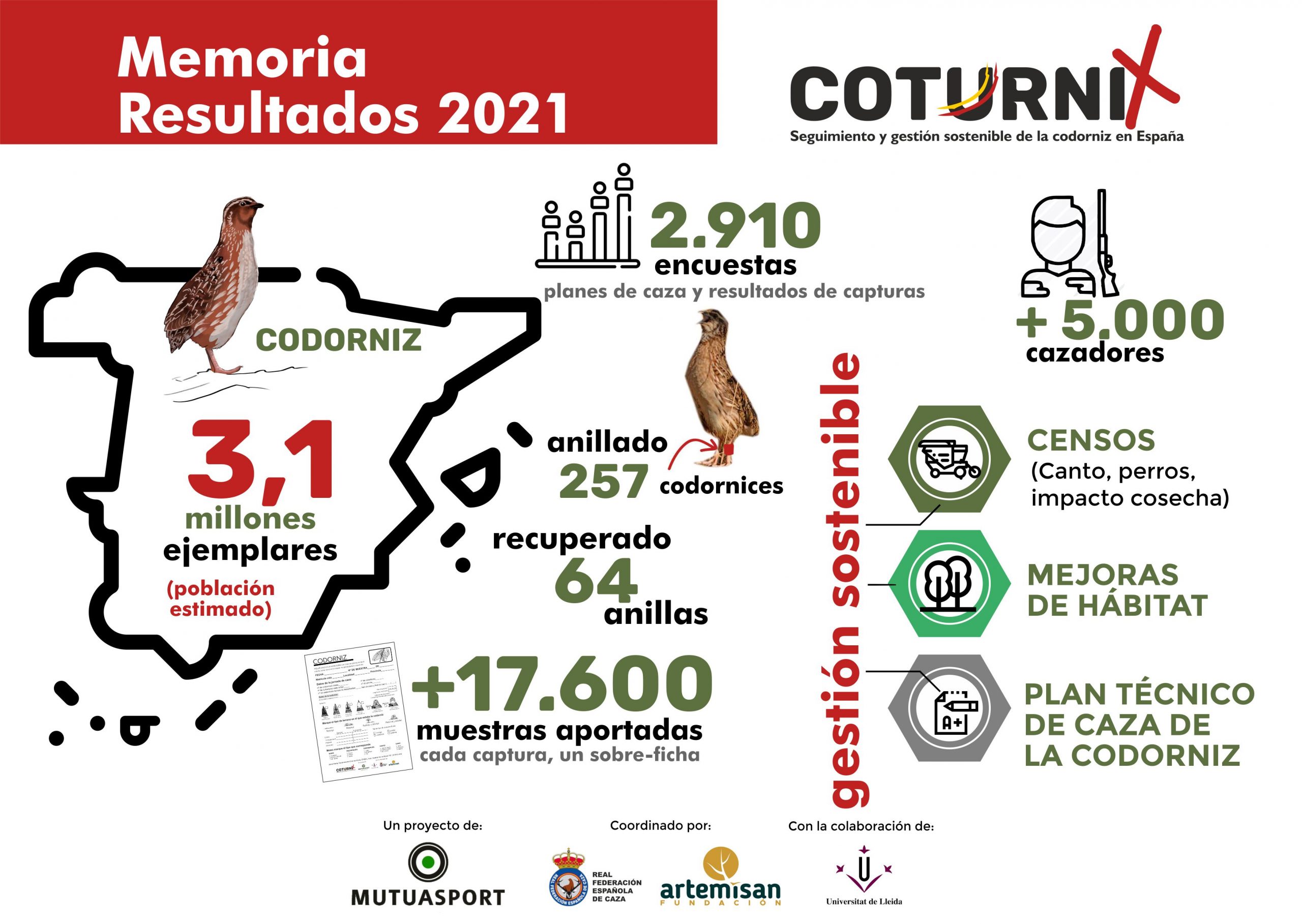 proyecto coturnix 2021 resultados codorniz en España
