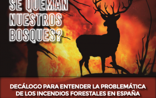 Decálogo por qué se queman los bosques en España de Fundación Artemisan