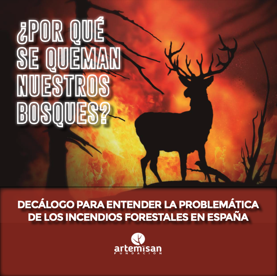 Decálogo por qué se queman los bosques en España de Fundación Artemisan