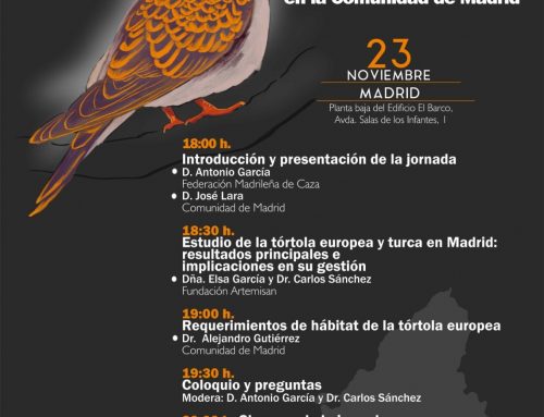 Madrid acogerá el próximo 23 de noviembre una Jornada Divulgativa sobre Tórtola en la Comunidad de Madrid