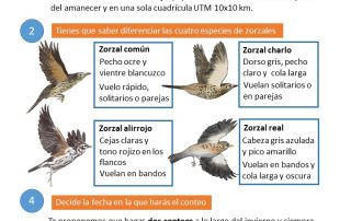 Censos aves migratorias invernantes del Observatorio Cinegético