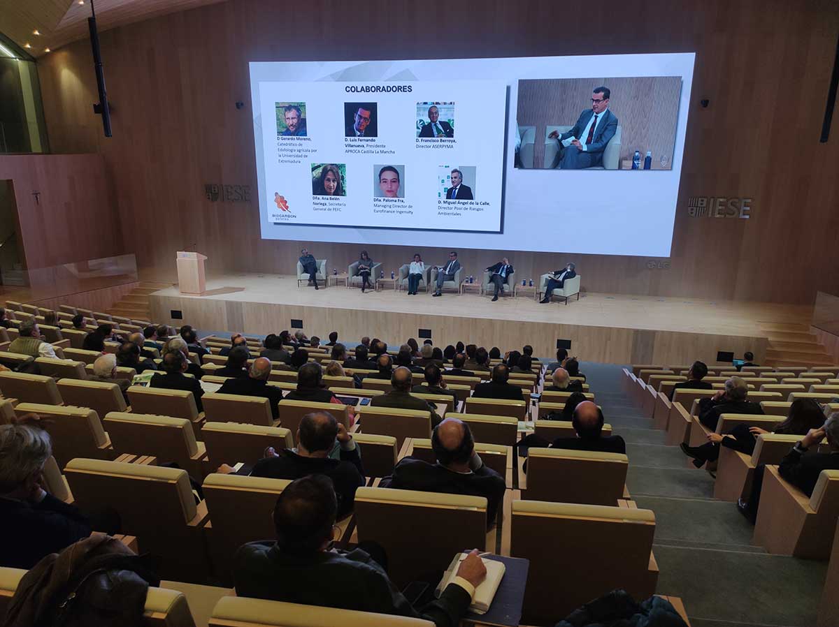 Presentación proyecto BioCarbon