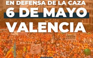 Manifestación Valencia 6 de mayo