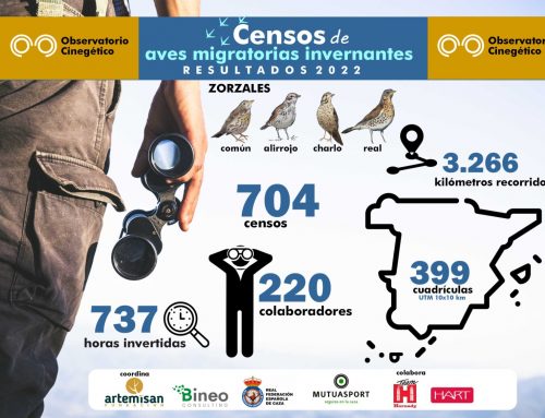 Los censos del Observatorio Cinegético de aves migratorias invernantes aumentaron más de un 40 % en la última campaña