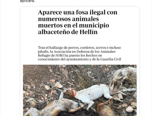 La Guardia Civil confirma que los animales muertos de la fosa de Hellín “no tienen relación alguna con ningún tipo de actividad cinegética”