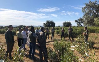 visita coto demostrativo garlitos gestión de tórtola europea proyecto pirte Extremadura
