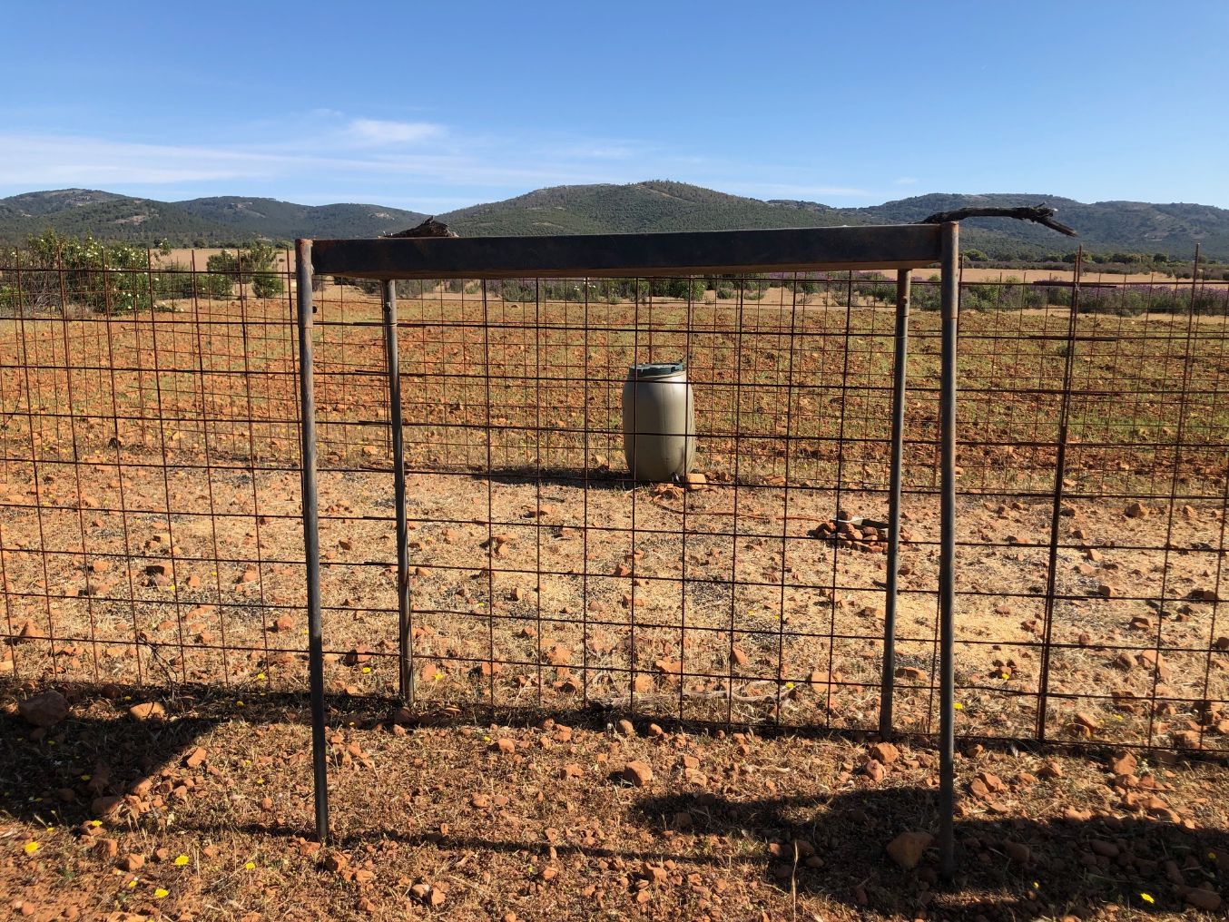 punto de agua para fauna silvestre, bebedero, sequía, lluvia calor
