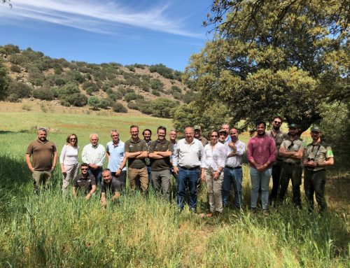 Cazadores, gestores y administración participan en una jornada sobre gestión de tórtola europea en Extremadura