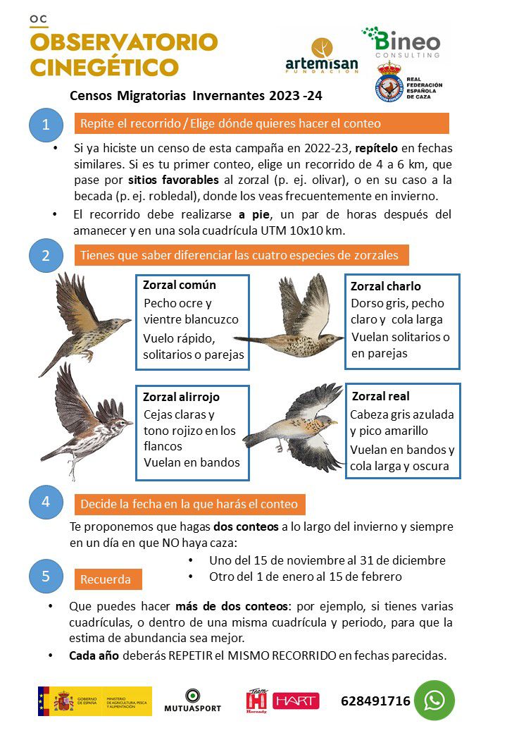 Campaña migratorias invernantes 2023 - 2024 del Observatorio cinegético