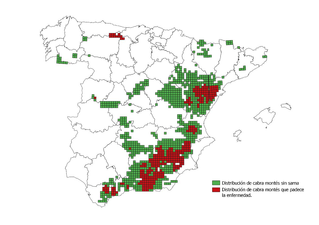 Distribución actual (2022) de cabra montés en España
