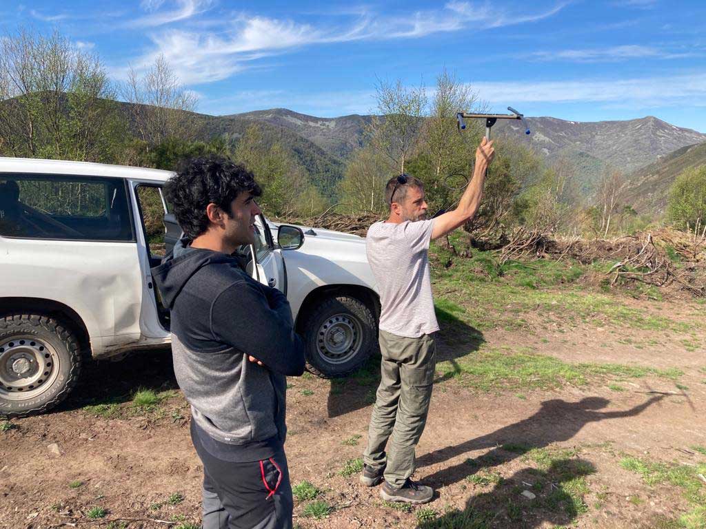 Visita a la Cordillera Cantábrica para conocer la metodología y resultados del trampeo de poblaciones de especies depredadoras y monitorización del urogallo mediante telemetría