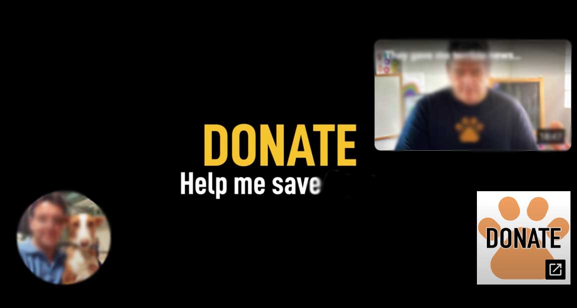 a juicio un animalista por presunta estafa. Se beneficiaba personalmente de las donaciones para curar animales enfermos