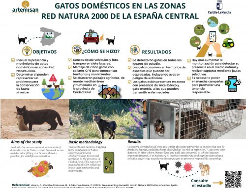 España suma evidencias de la amenaza de los gatos domésticos en el medio natural con un estudio en zonas Red Natura 2000