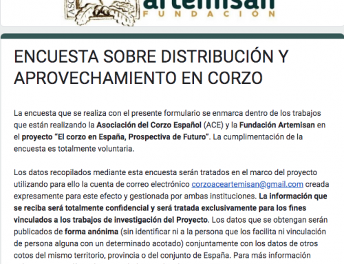 La ACE y Fundación Artemisan lanzan una encuesta sobre distribución y aprovechamiento de corzo