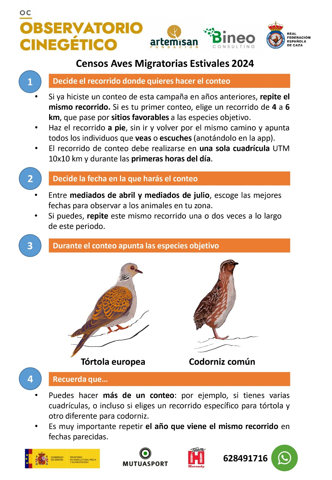 inicio campaña censos migratorias estivales observatorio cinegético 24