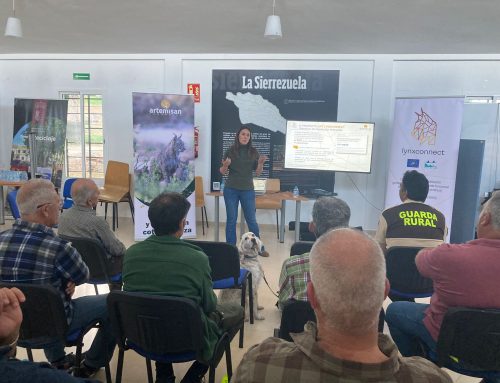 Finalizan los encuentros del LIFE  LYNXCONNECT con cazadores y gestores en Andalucía