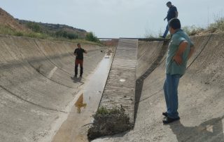 Canal de Alcañiz en Aragón, ahogamiento de animales, canales de la muerte