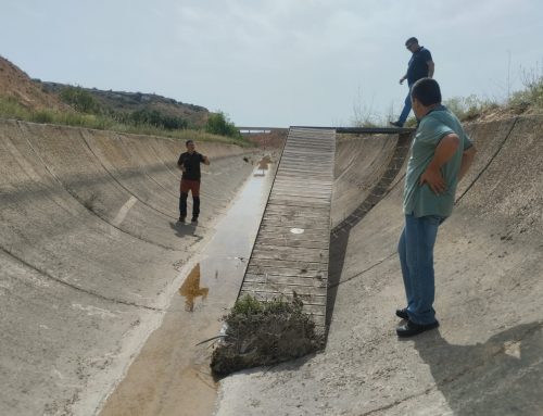 Fundación Artemisan elaborará un plan de medidas para evitar el ahogamiento de fauna silvestre en los canales de Alcañiz