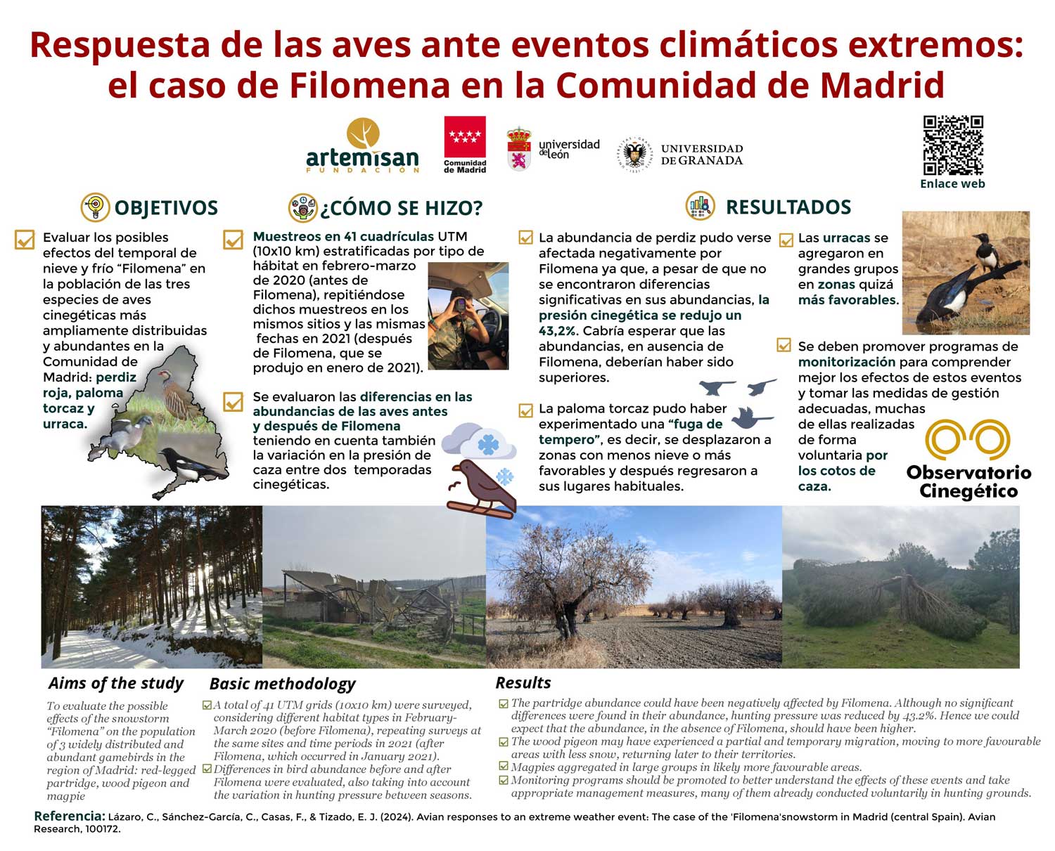 Filomena afectó a las especies de aves cinegéticas de la comunidad de Madrid