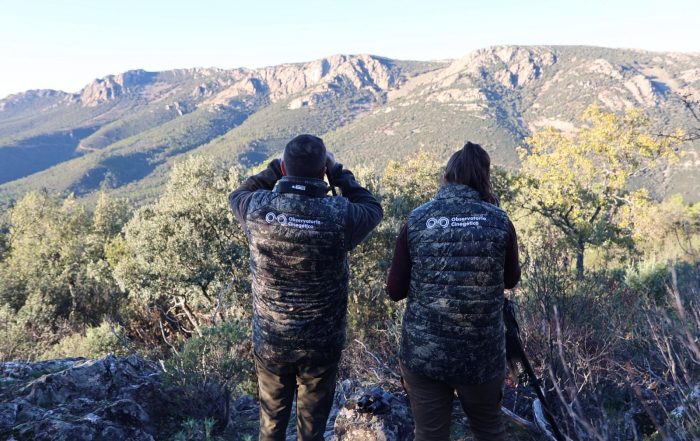 Observatorio cinegético