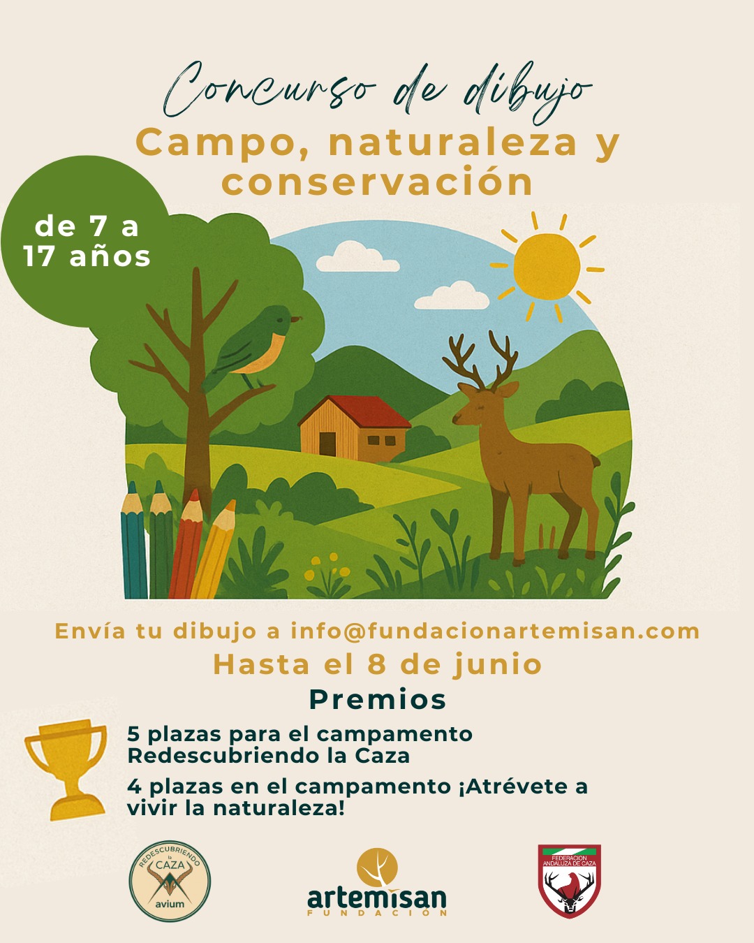 Cartel concurso de dibujos campamentos de verano fundación artemisan