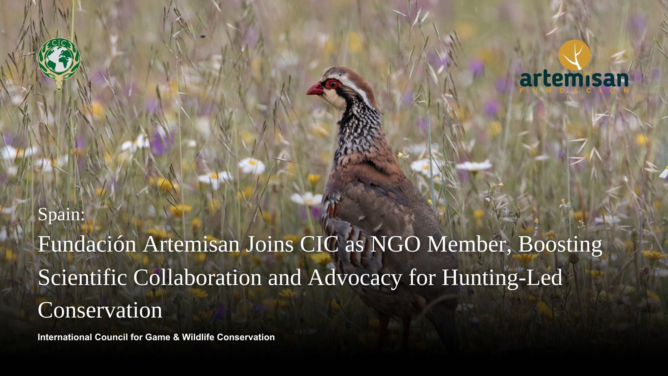 Artemisan se adhiere al CIC Consejo Internacional para la Conservación de la Caza y la Vida Silvestre