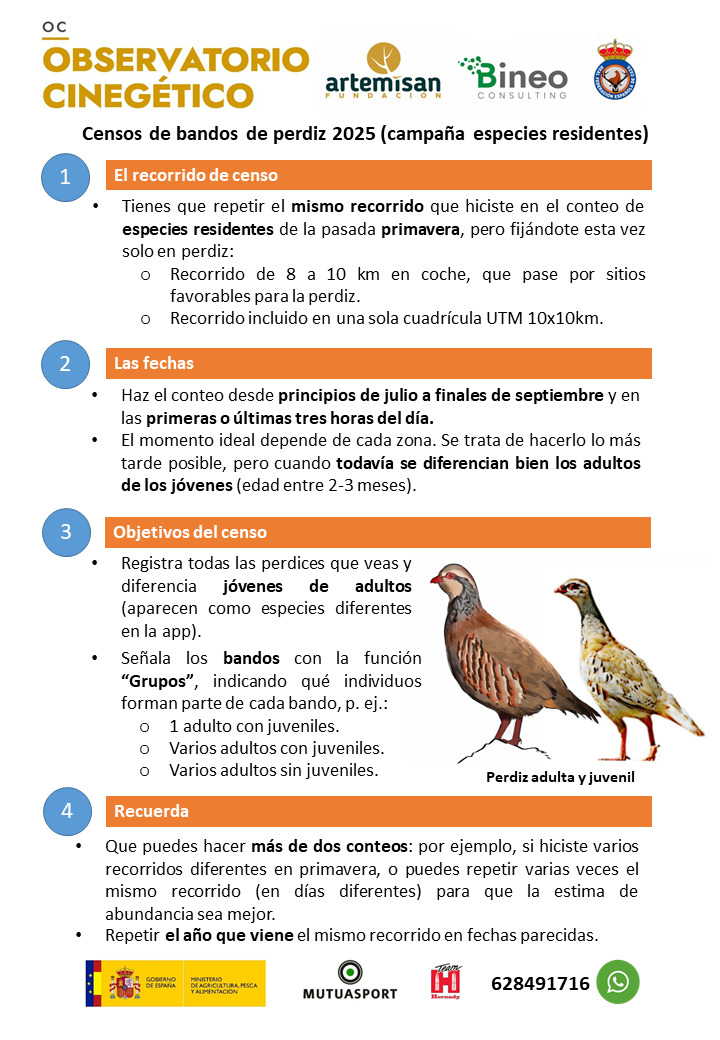campaña de bandos de perdiz 2025 del observatorio cinegético