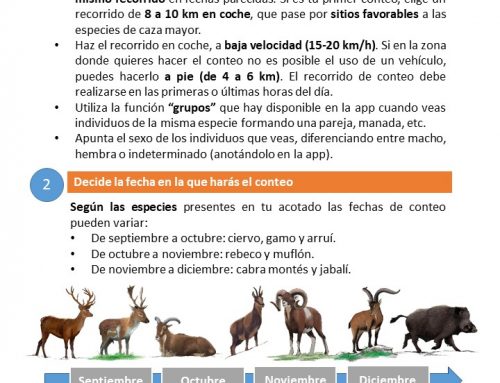 Comienza la campaña de censos de caza mayor del Observatorio Cinegético