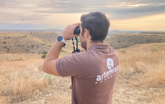 Censo del observatorio cinegético