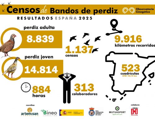 Los cazadores vuelven a batir récord y superan los 1.100 censos de bandos de perdiz con el Observatorio Cinegético