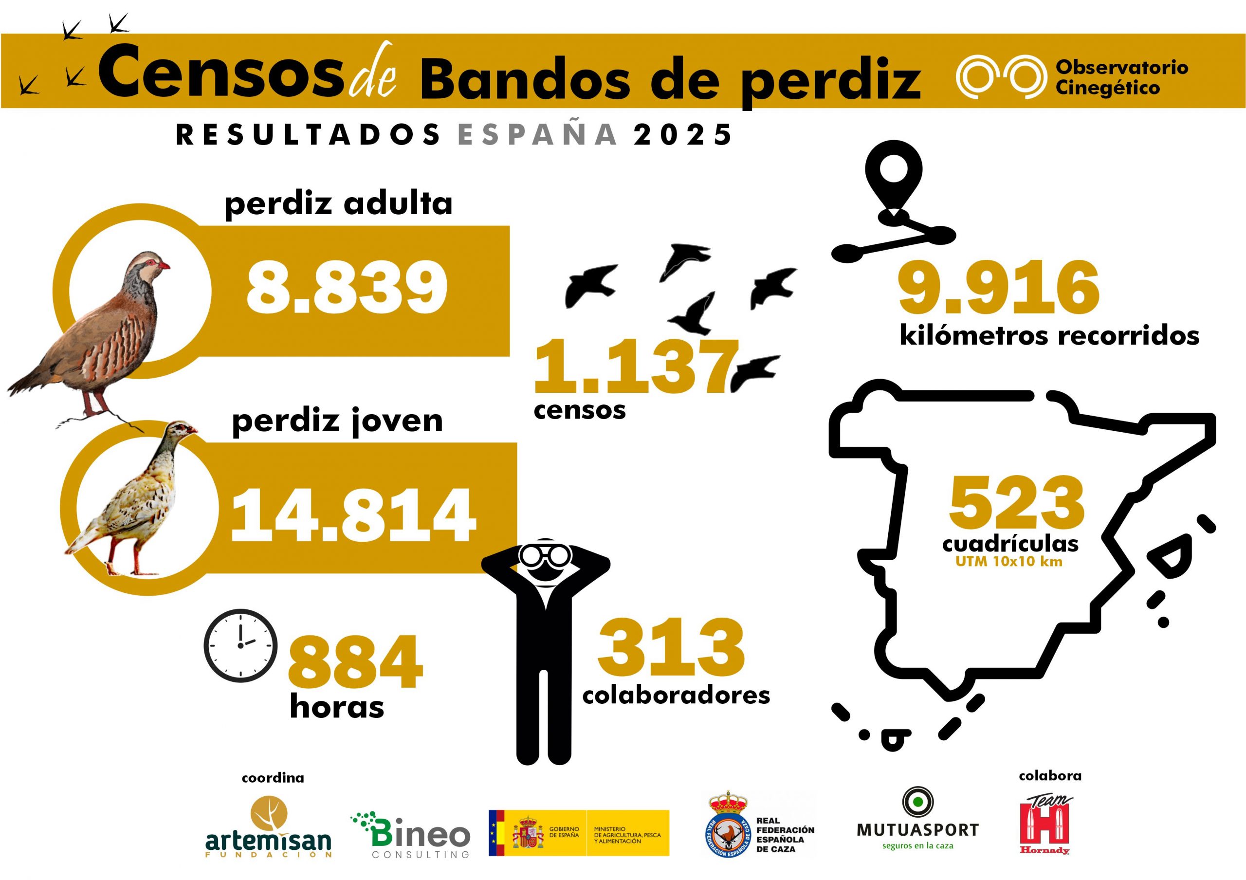 censos de bandos de perdiz roja 2025 del Observatorio Cinegético nacional