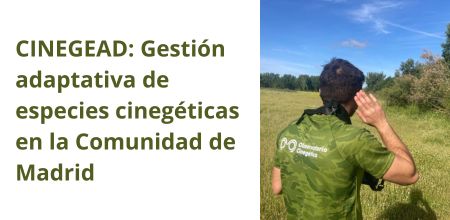 cinegead Gestión adaptativa de especies cinegéticas en la Comunidad de Madrid