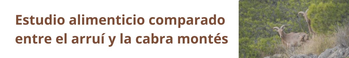 Estudio alimenticio comparado entre el arrui y la cabra montés