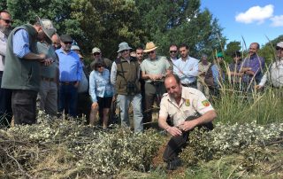 Estudio control de predadores. Depredadores Fundación Artemisan