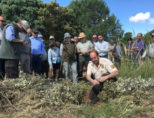 De eliminar a controlar depredadores, un estudio examina la situación actual del control de predadores en España