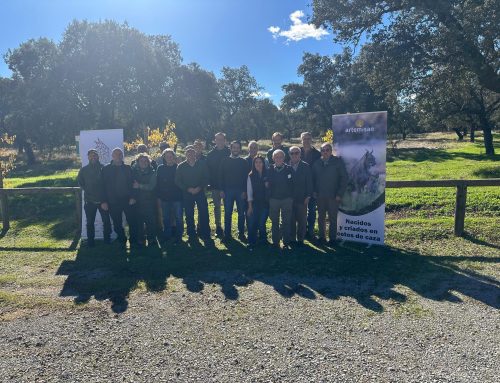Andalucía acoge la primera ‘Jornada de campo y sensibilización del lince ibérico’ dentro del proyecto LIFE Lynxconnect